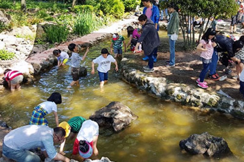休愛里自然生活公園(휴애리자연생활공원) (10/16)