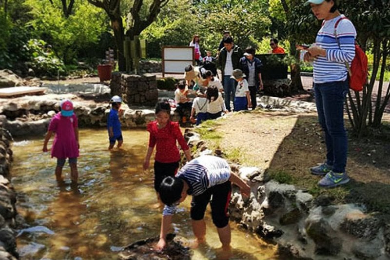 休愛里自然生活公園(휴애리자연생활공원) (11/16)