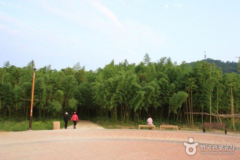 太和江大公園