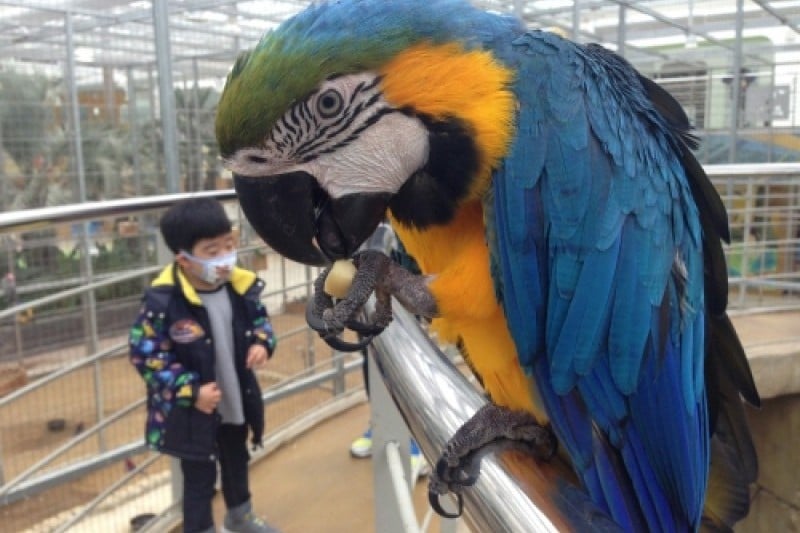 慶州鳥園