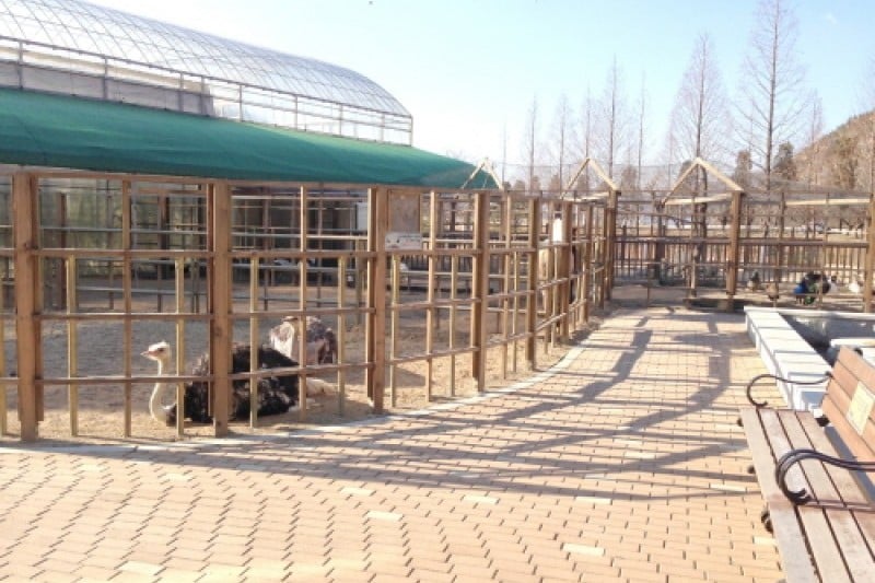 慶州鳥園