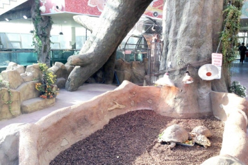 慶州鳥園