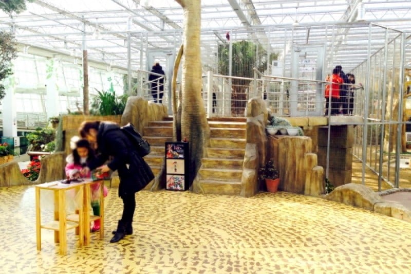 慶州鳥園