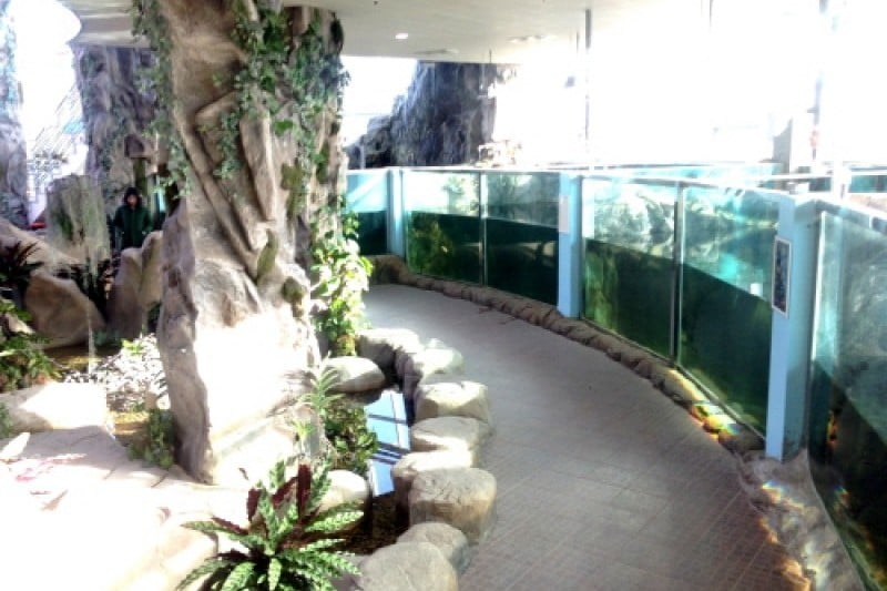 慶州鳥園