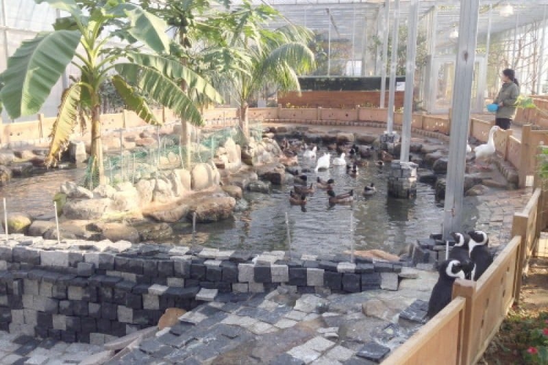 慶州鳥園