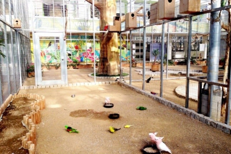 慶州鳥園