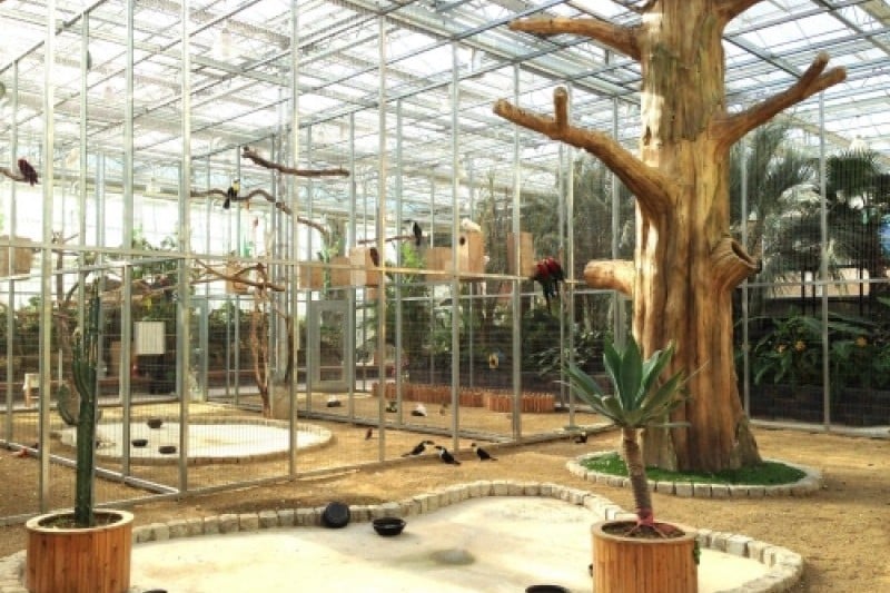 慶州鳥園