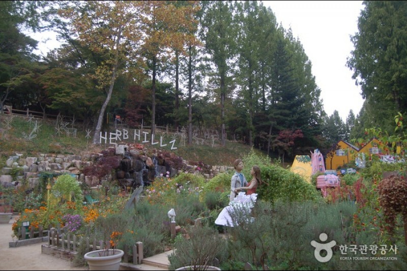Hillcrest (7/14)