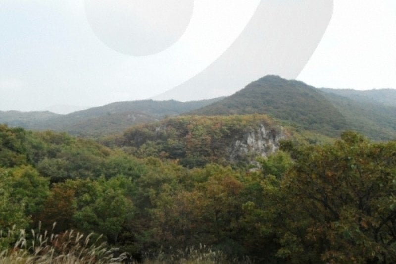 加智山道立公園 (1/1)