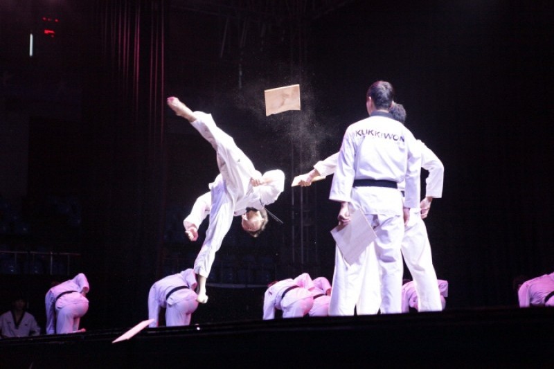國技院跆拳道示範團常設公演：「Great Taekwondo─偉大的跆拳道」 (6/6)