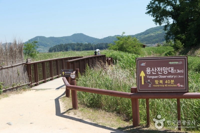 順天灣龍山觀景臺