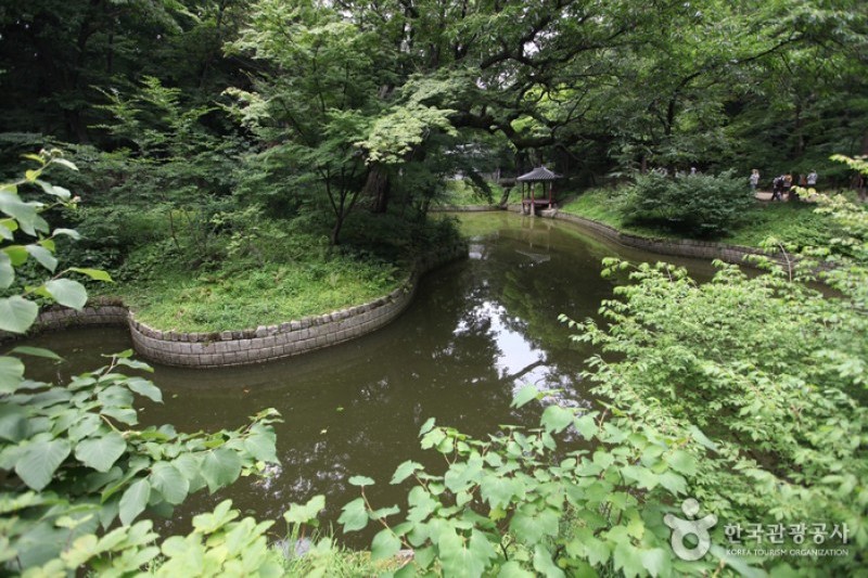 昌德宮與後苑 [UNESCO世界文化遺產] (23/25)