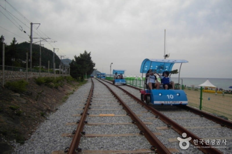 正東津鐵路自行車 (4/4)