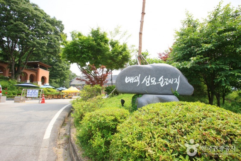 甘谷玫瑰聖母巡禮地聖堂
