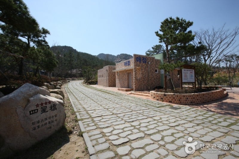 月出山元氣滿滿樂園 (3/12)