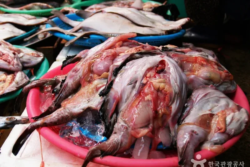 馬山午東洞辣燉鮟鱇魚街