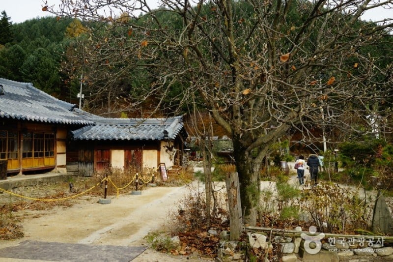 李孝石故居(이효석 생가터) (23/24)