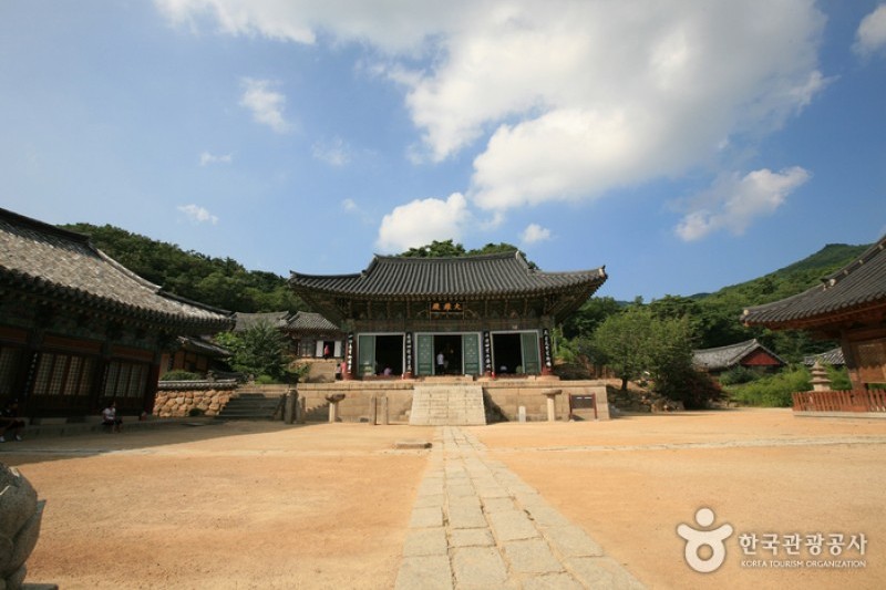 桐華寺 (3/14)