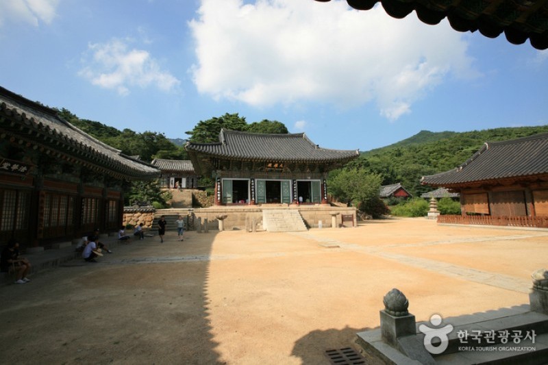 桐華寺 (5/14)