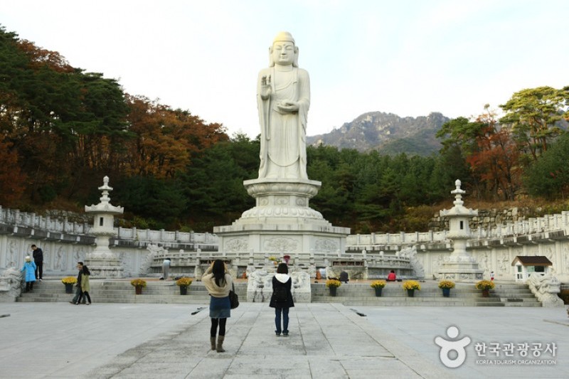 桐華寺 (11/14)
