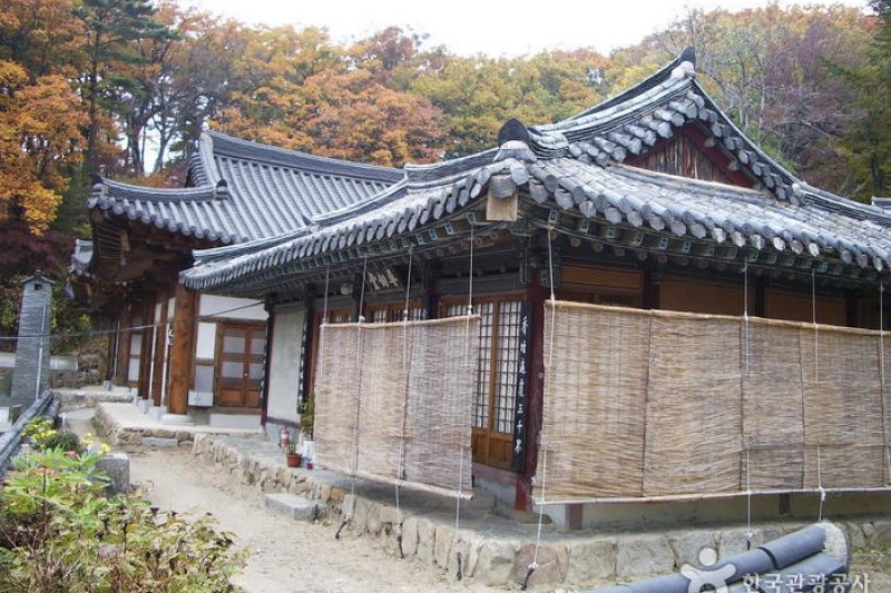 桐華寺 (12/14)