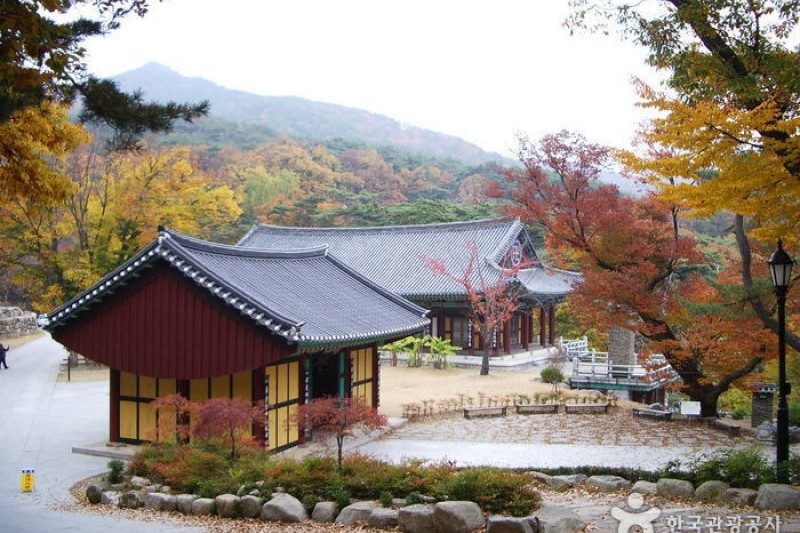 桐華寺 (13/14)