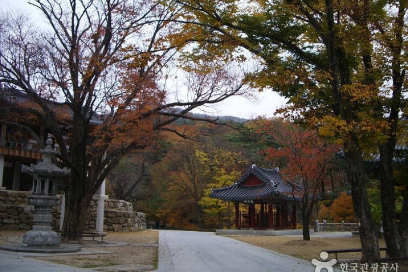 桐華寺 (14/14)