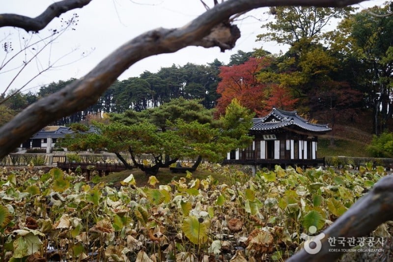 江陵船橋莊 (31/34)