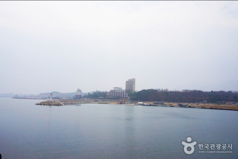 大浦港 (22/23)