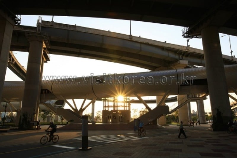 漢江市民公園纛島地區(纛島漢江公園) (29/30)
