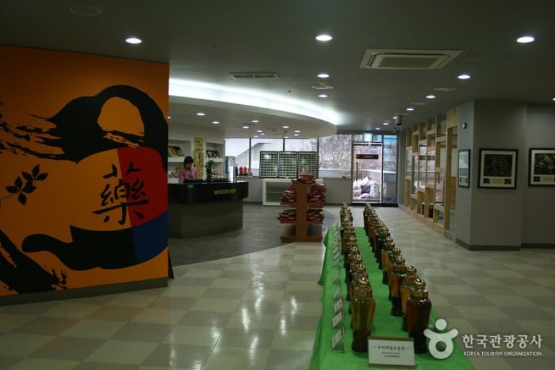 大邱藥令市韓醫藥博物館 (13/22)