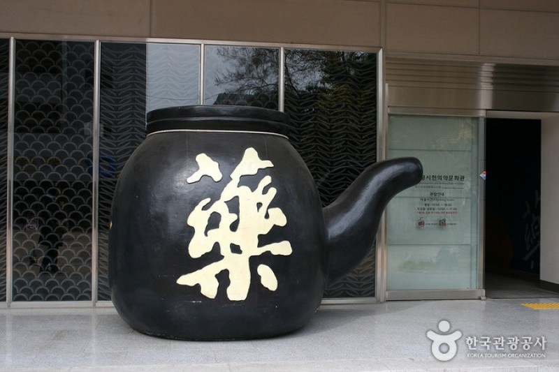 大邱藥令市韓醫藥博物館 (16/22)