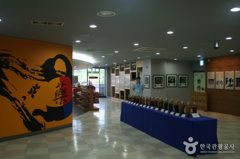 大邱藥令市韓醫藥博物館 (22/22)