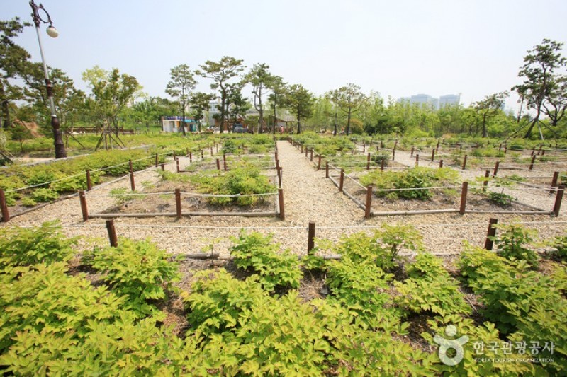 大田樹木園