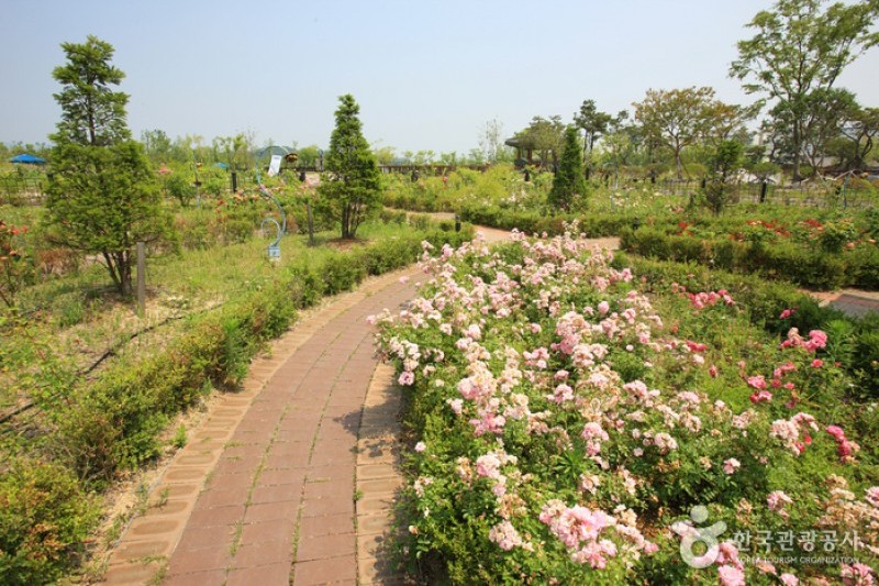 大田樹木園