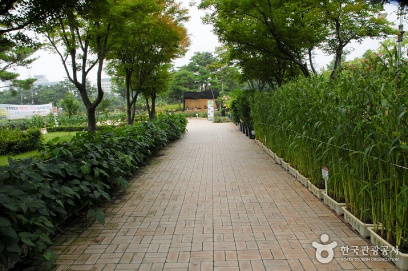 大田樹木園