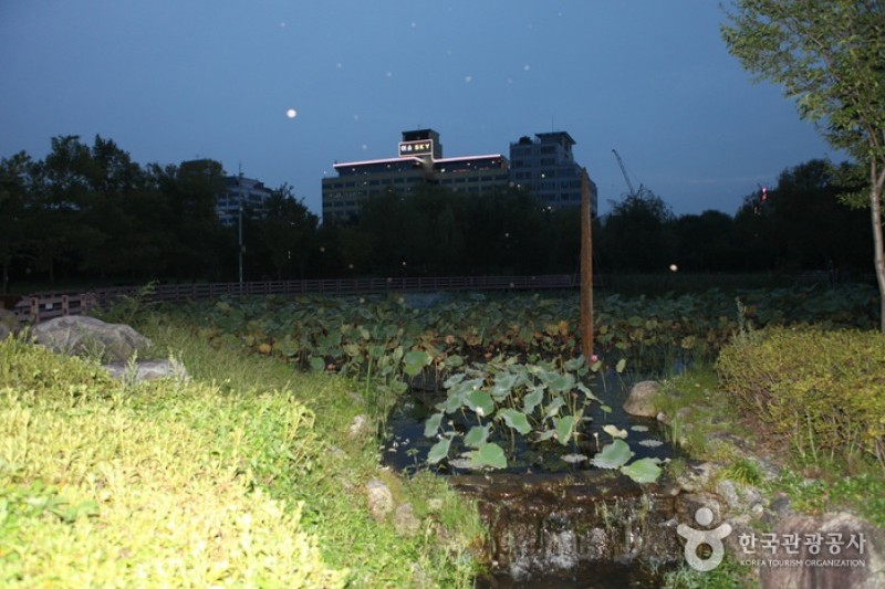 大田樹木園