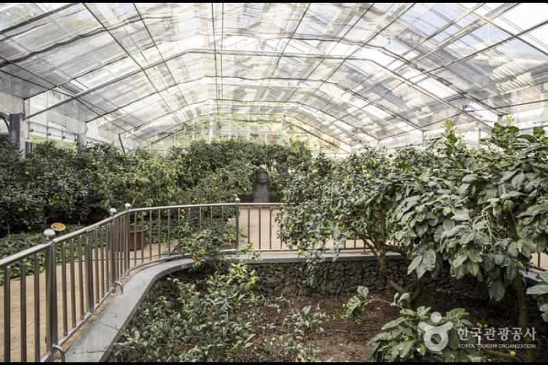 柑橘博物館