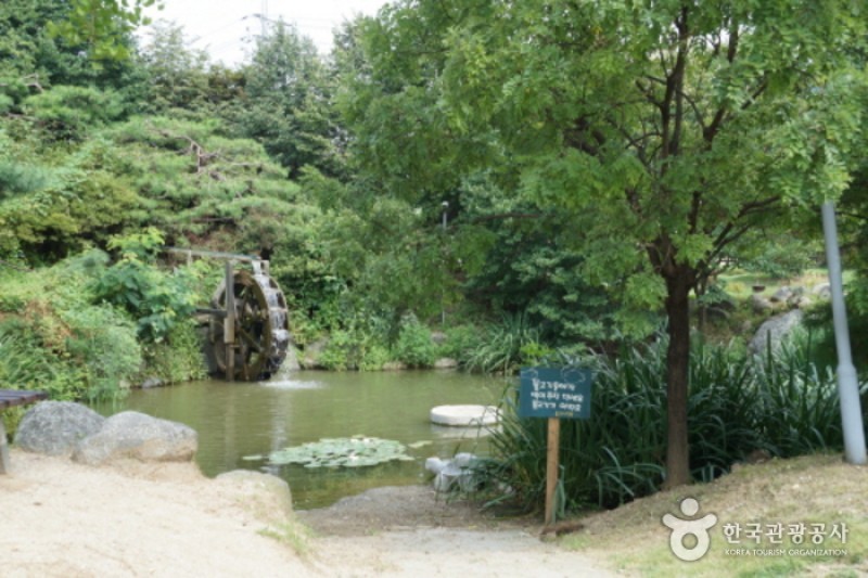 楊平野花樹木園 (19/20)