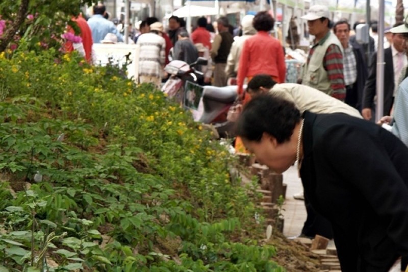 大邱藥令市韓方文化節
