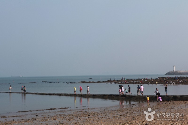 武昌浦神秘海路慶典