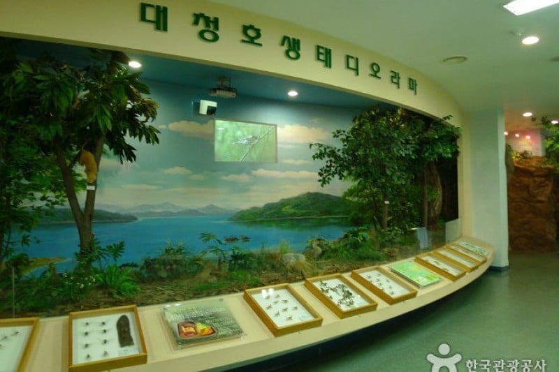 大清湖自然生態館 (2/21)