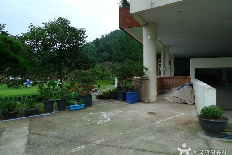 大清湖自然生態館 (8/21)