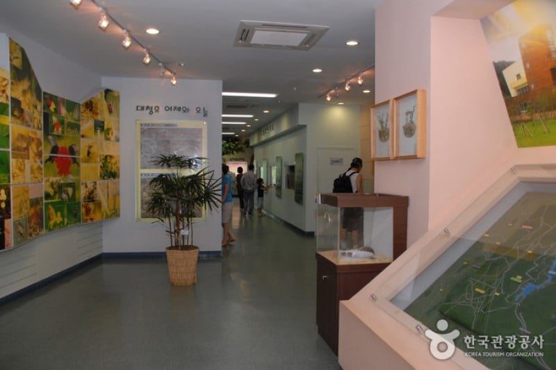 大清湖自然生態館 (18/21)