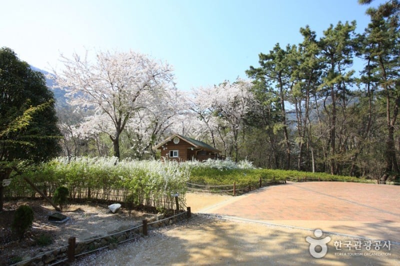 鎮海內水面環境生態公園