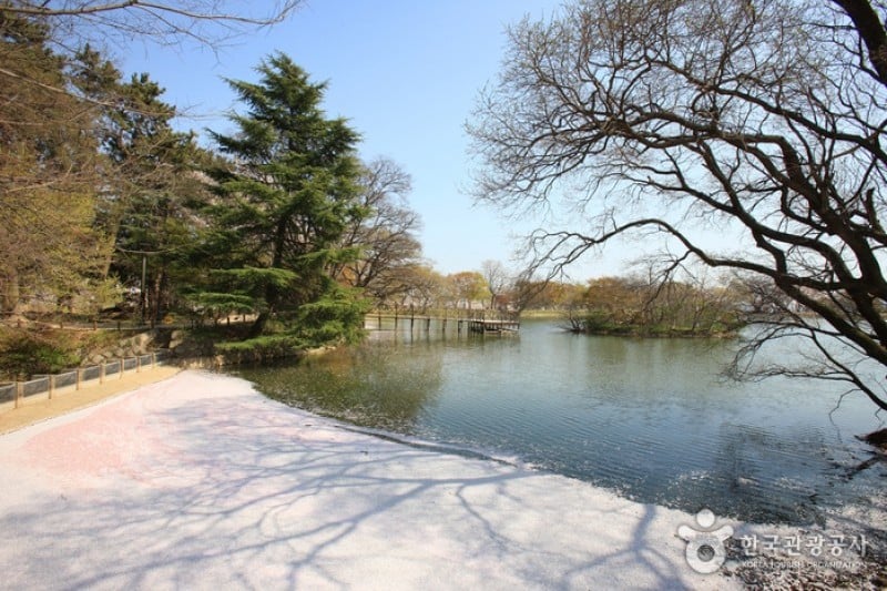 鎮海內水面環境生態公園