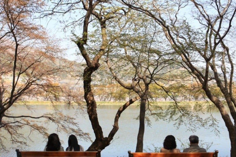 鎮海內水面環境生態公園
