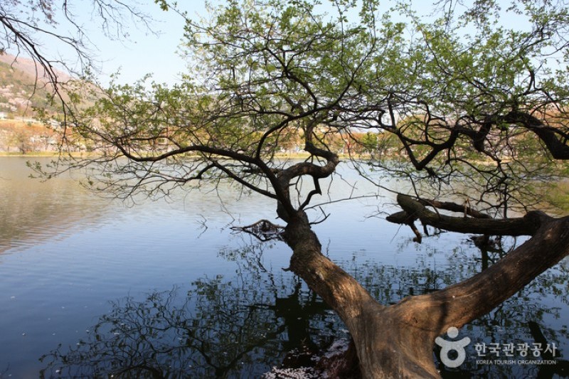 鎮海內水面環境生態公園