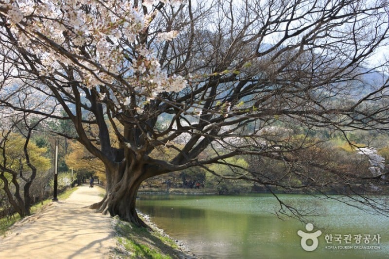 鎮海內水面環境生態公園