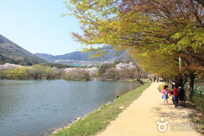 鎮海內水面環境生態公園